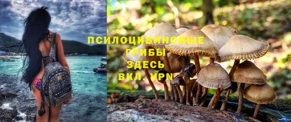 круглые Аркадак