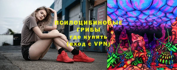 спиды Арсеньев