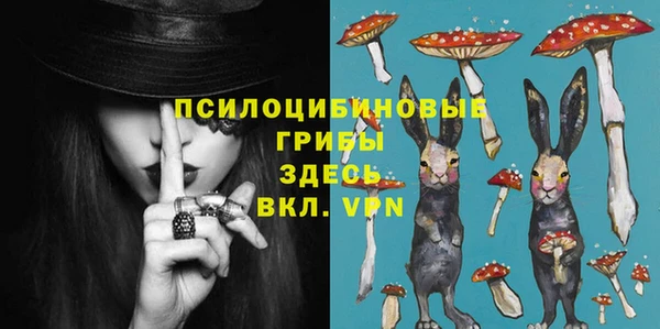 спиды Арсеньев