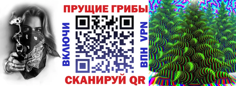как найти наркотики  Дудинка  Галлюциногенные грибы Psilocybe 